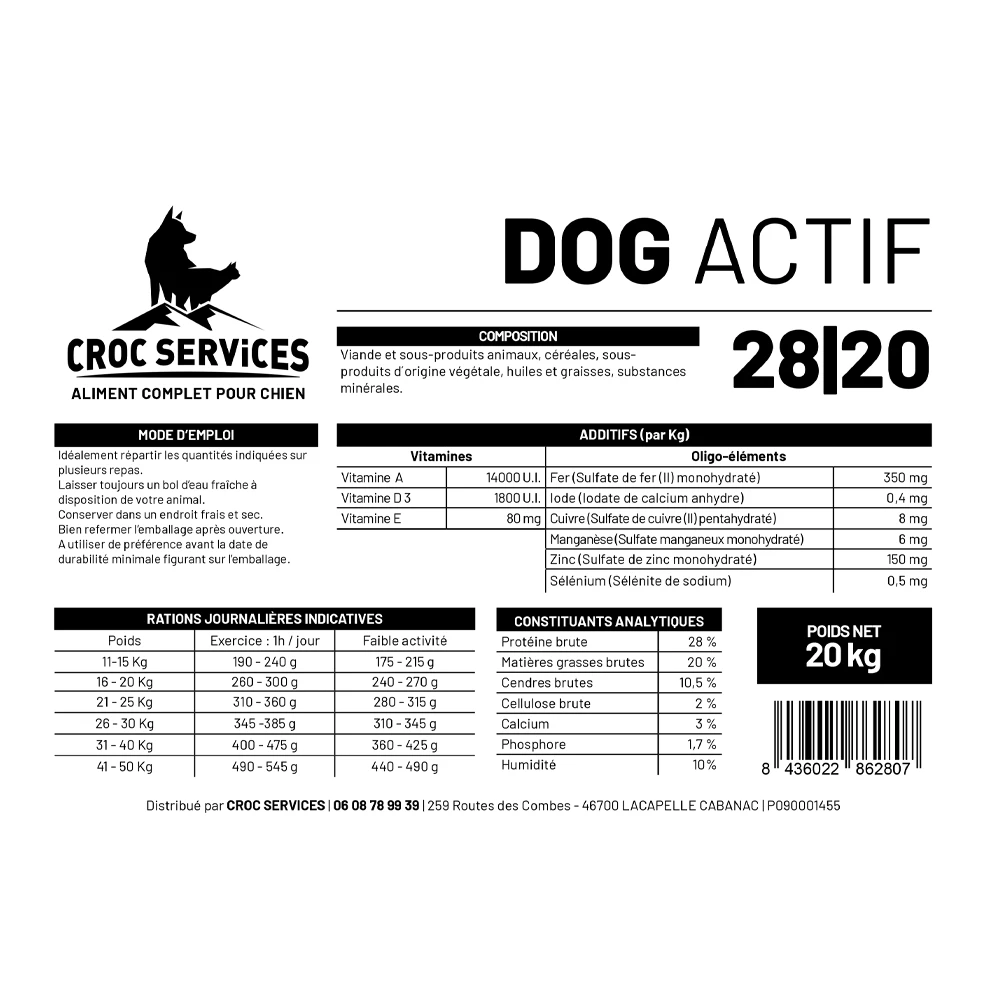 Dog actif