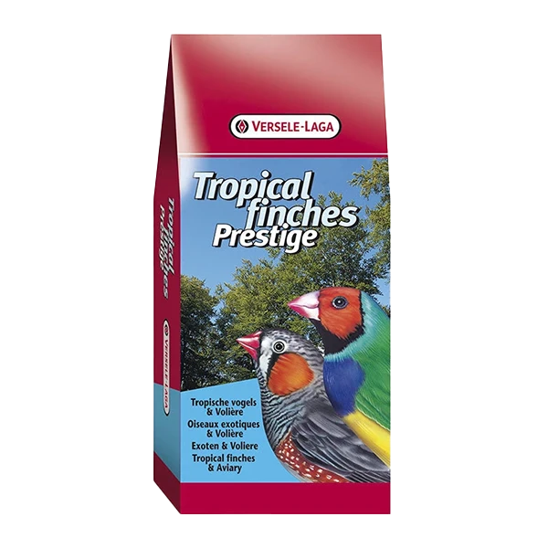 Tropical finches prestige