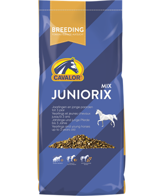 Juniorix